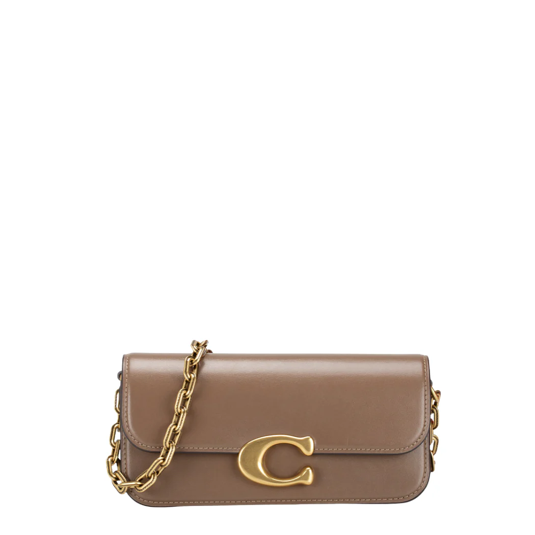 Coach Idol Bag 23 Crossbody Brown - CP120