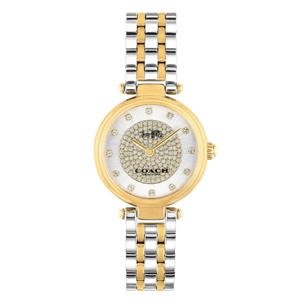 Coach Park Two-tone Stainless Steel Silver Dial Quartz Watch for Ladies - 14503643